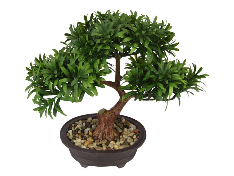 28cm-bonsai-tree-in-pot